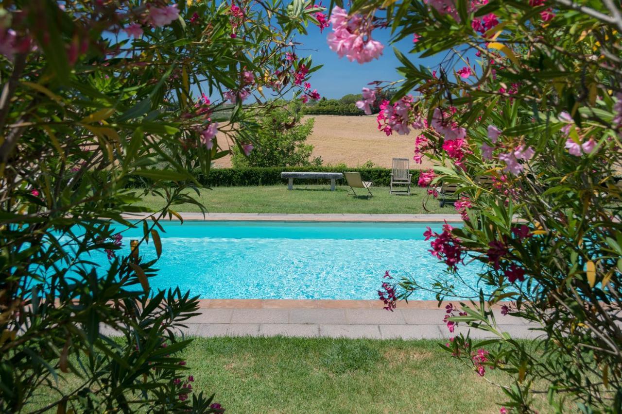 Villa La Lodola Foiano Della Chiana Bagian luar foto